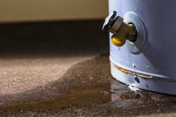 Best Water damage contractors near me  in Homer, IL