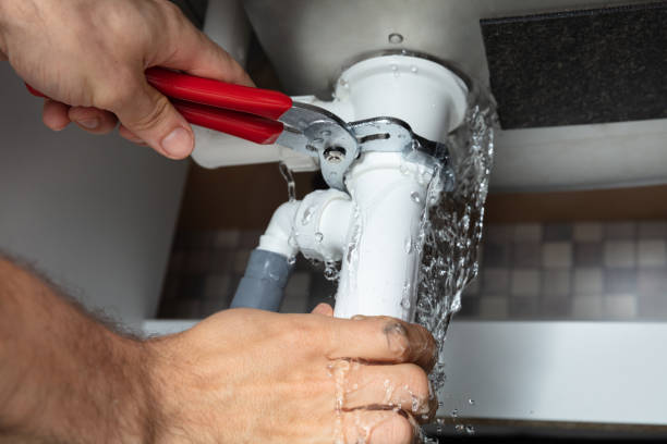 Best Residential water damage restoration  in Homer, IL