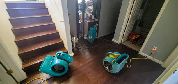Best Local water damage restoration  in Homer, IL