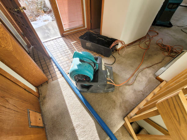 Best Local water damage restoration  in Homer, IL