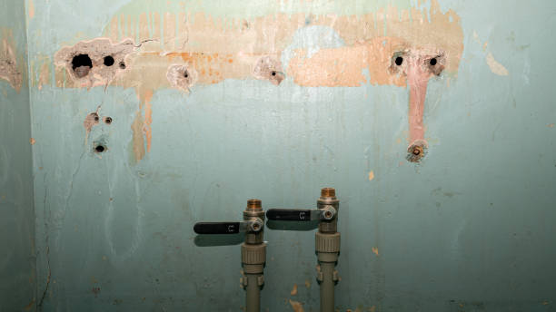 Best 24/7 water damage repair  in Homer, IL
